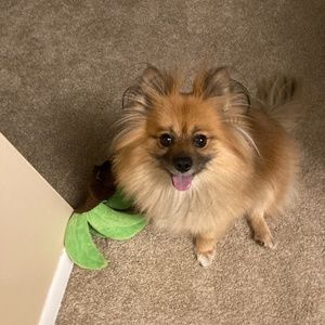 Meet your Posher, Tuyetson